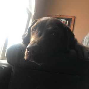 Meet your Posher, Eric